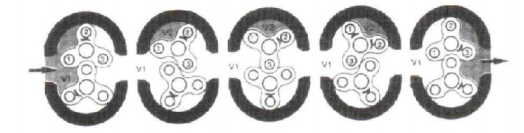 羅茨鼓風(fēng)機(jī)運(yùn)轉(zhuǎn)原理圖.png